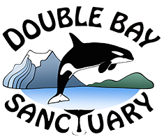 DB_logo_transp_PNG_235x200